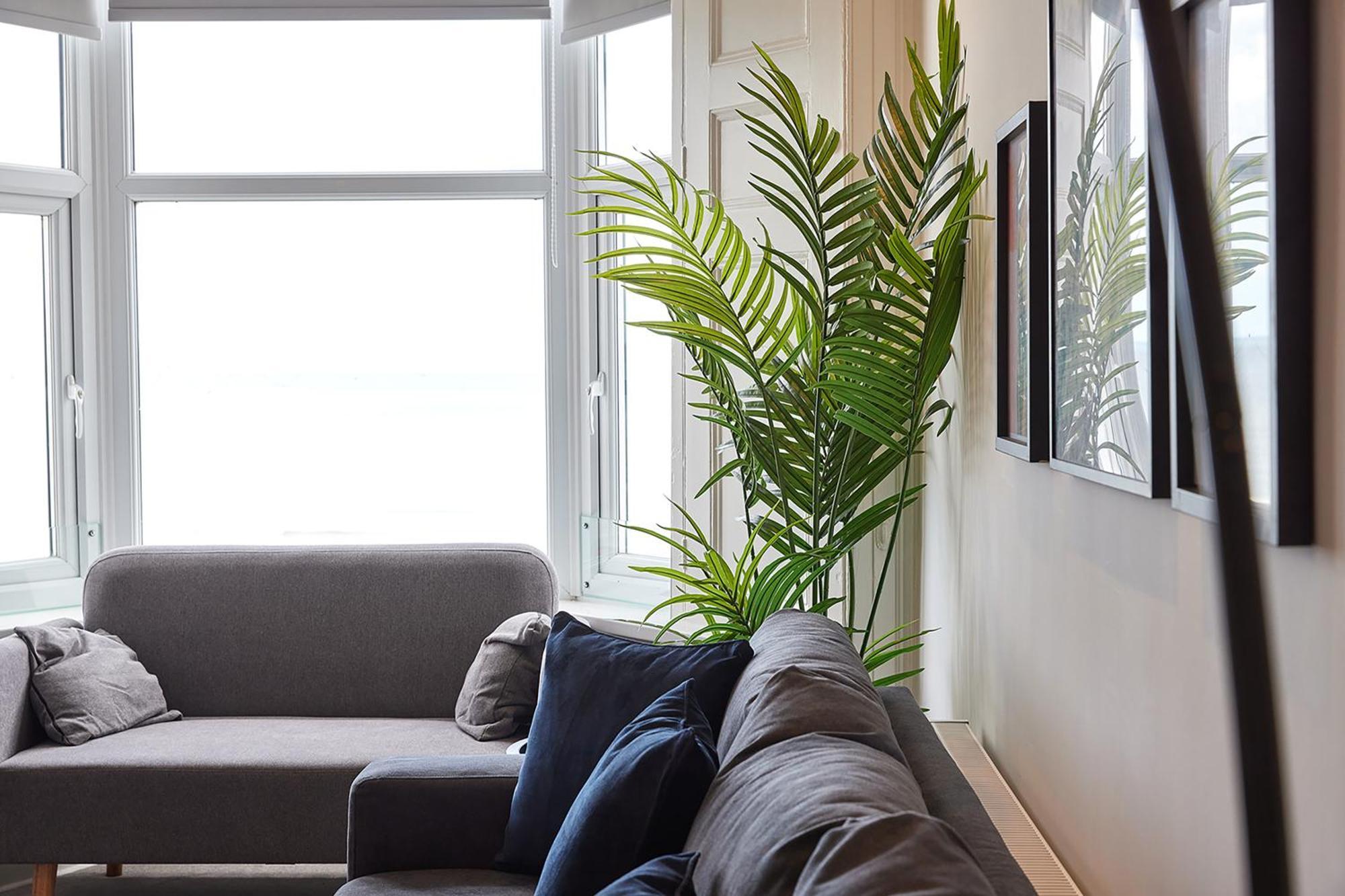 סנדרלנד 5 Roker Terrace - Seaview Apartments מראה חיצוני תמונה